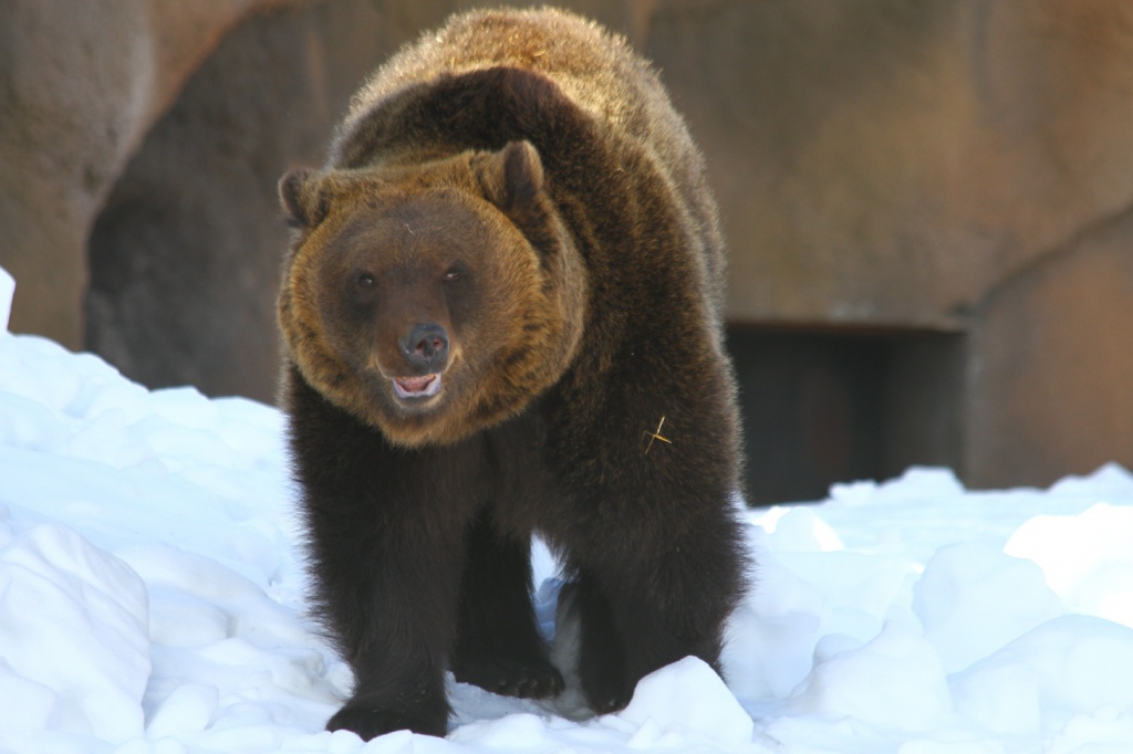 ������� ��������CAMC5899.jpg